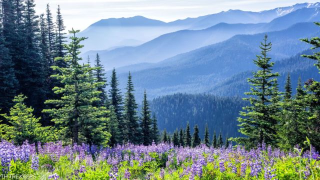 Best Places to Visit in Washington State