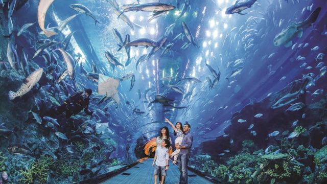 Best Things to Do in Dubai 