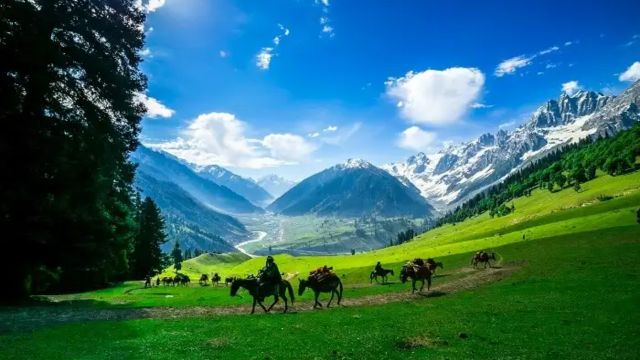 Best Time to Visit in Kashmir