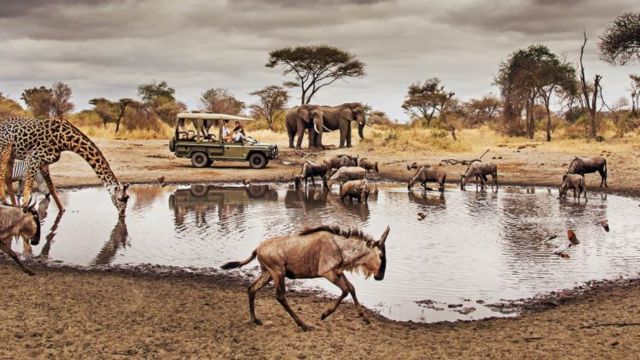 Best Places to Visit in Africa For First Timers