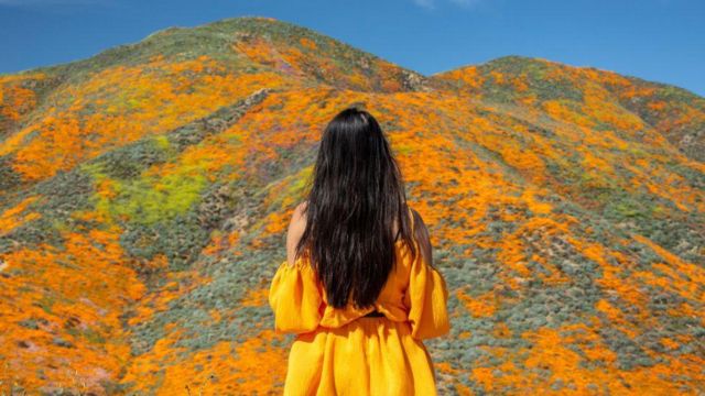 Best Places to Visit in California in March
