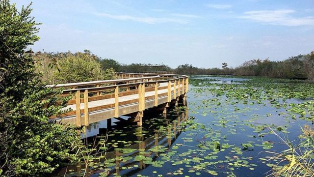 Best Places to Visit in Florida for Nature Lovers
