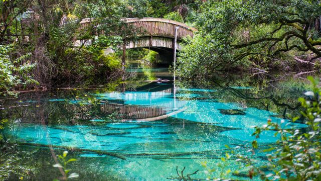 Best Places to Visit in Florida for Nature Lovers