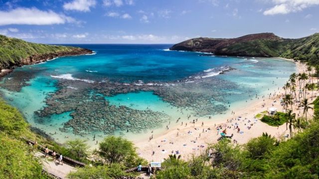 Best Places to Visit in Honolulu