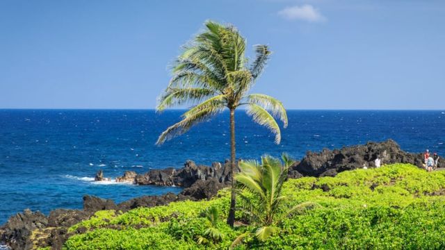 Best Places to Visit in Maui