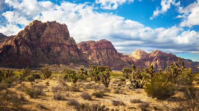 Best Places to Visit in Nevada