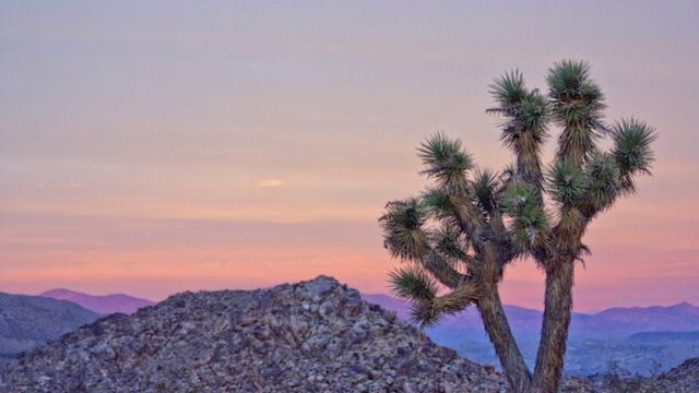 Best Places to Visit in Southern California