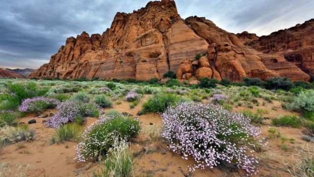 Best Places to Visit in Spring USA