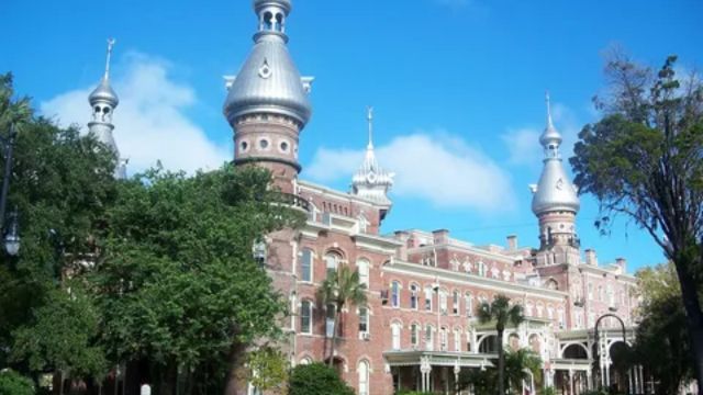 Best Places to Visit in Tampa