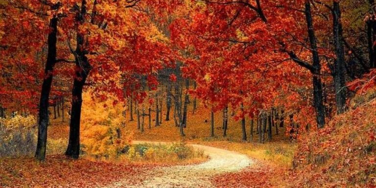 Best Places to Visit in the Fall USA