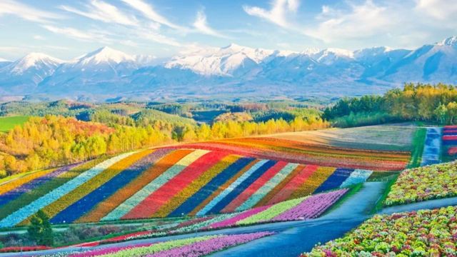 Best Places to Visit Hokkaido