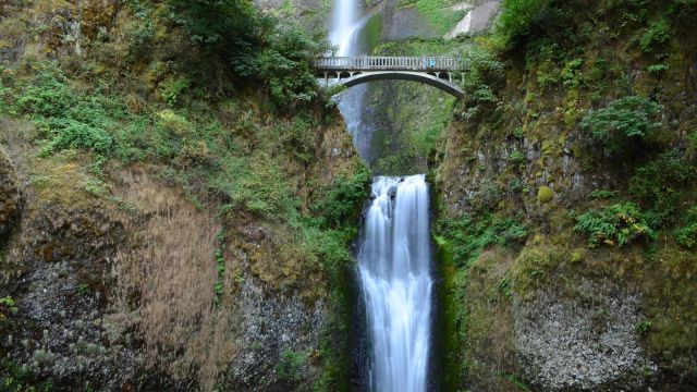 Best Places to Visit Near Portland Oregon