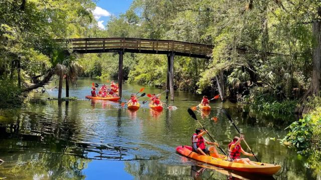 Best Places to Visit Near Tampa Florida