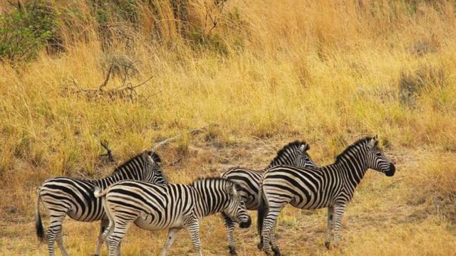 Best Places to Visit in Africa in December