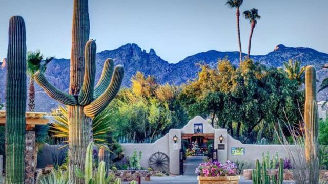 Best Places to Visit in Arizona With Family