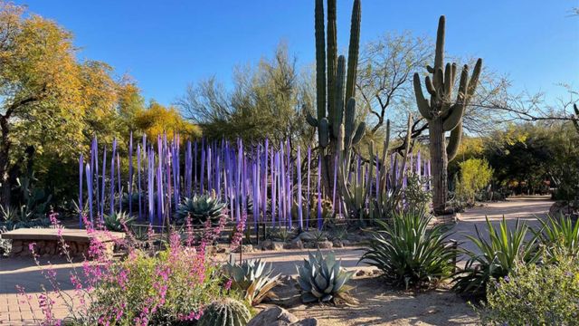 Best Places to Visit in Arizona in March