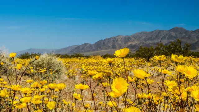 Best Places to Visit in California in April