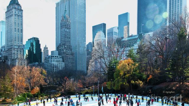 Best Places to Visit in Central Park
