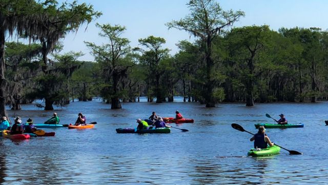 Best Places to Visit in East Texas