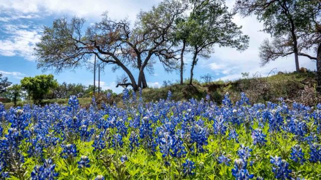 Best Places to Visit in Fredericksburg TX