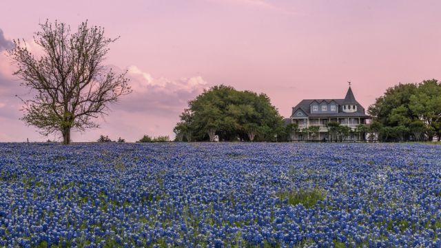 Best Places to Visit in Hill Country Texas