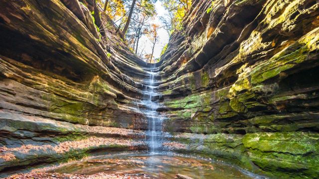 Best Places to Visit in Illinois in the Fall