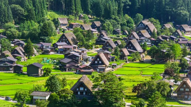 Best Places to Visit in Japan in November