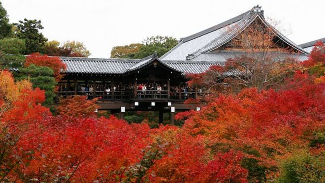 Best Places to Visit in Japan in November