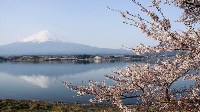 Best Places to Visit in Japan in November