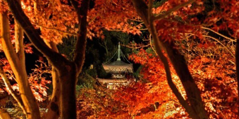 Best Places to Visit in Japan in November