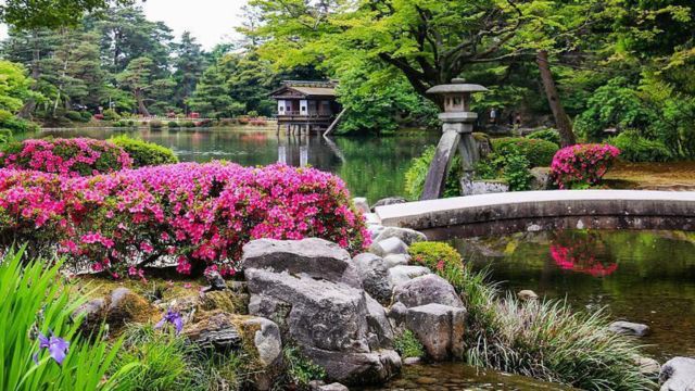 Best Places to Visit in Japan in November