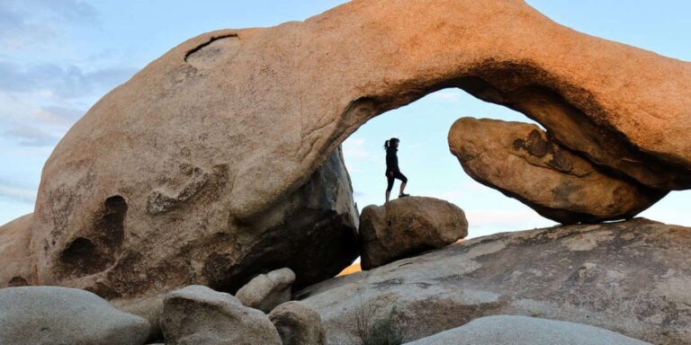 Best Places to Visit in Joshua Tree