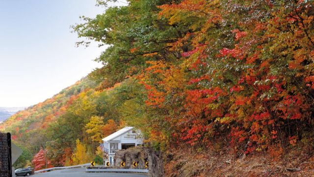 Best Places to Visit in Massachusetts in the Fall