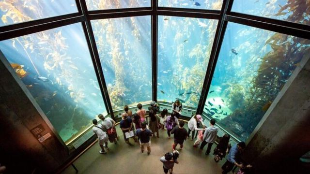 Best Places to Visit in Monterey