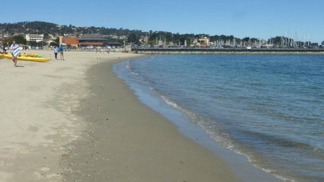 Best Places to Visit in Monterey