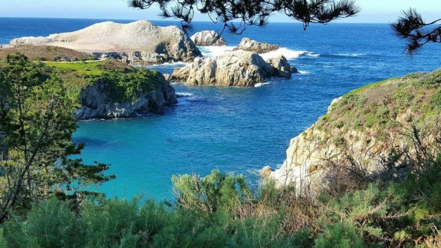 Best Places to Visit in Monterey