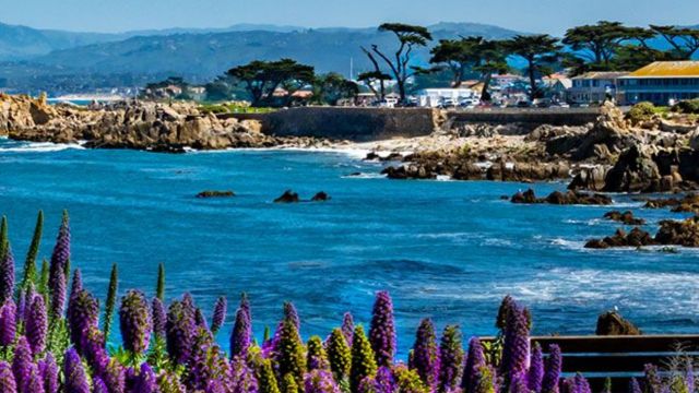 Best Places to Visit in Monterey