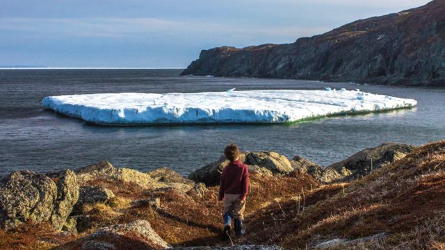 Best Places to Visit in Newfoundland