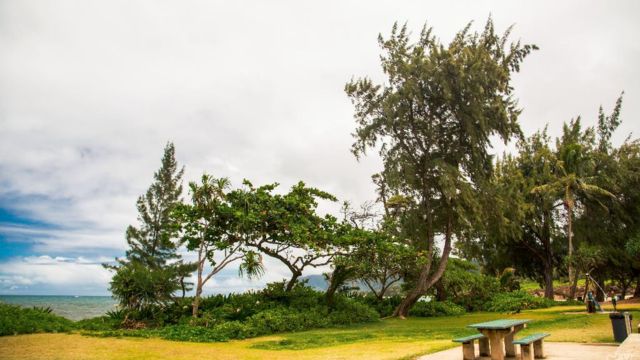 Best Places to Visit in Oahu With Family