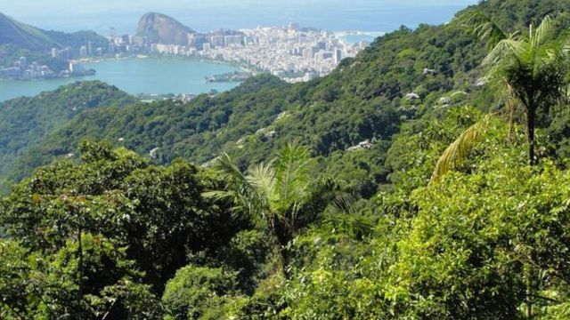 Best Places to Visit in Rio De Janeiro