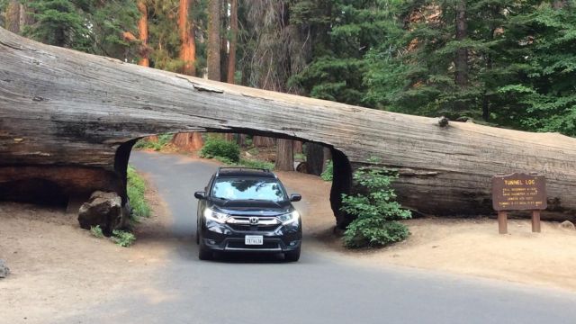 Best Places to Visit in Sequoia National Park