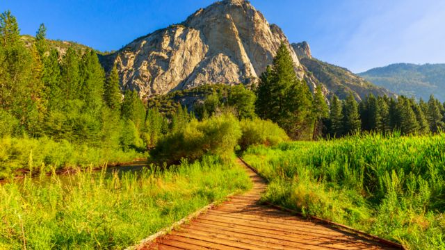 Best Places to Visit in Sequoia National Park