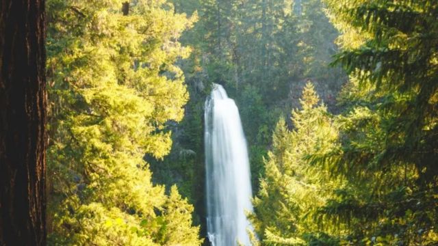 Best Places to Visit in Southern Oregon