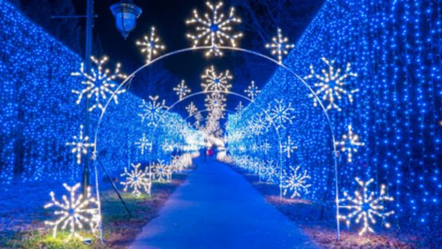 Best Places to Visit in Tennessee in December