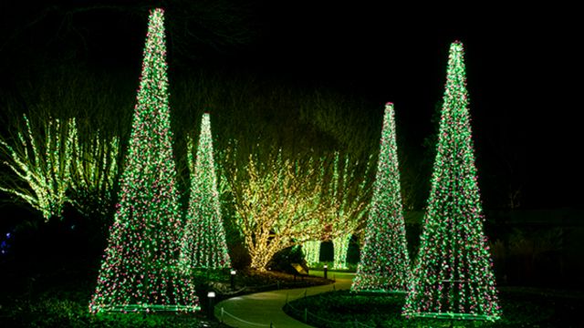 Best Places to Visit in Tennessee in December