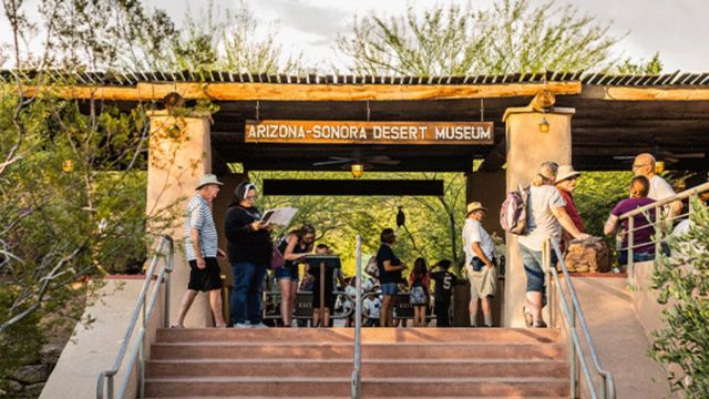 Best Places to Visit in Tucson Arizona