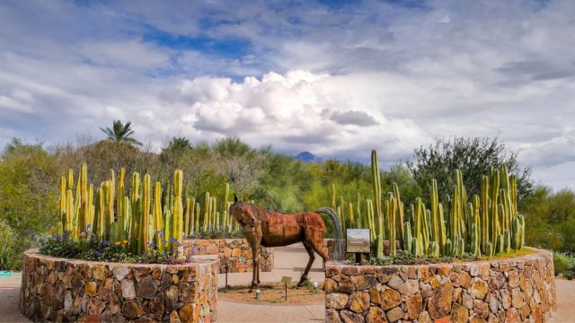 Best Places to Visit in Tucson Arizona