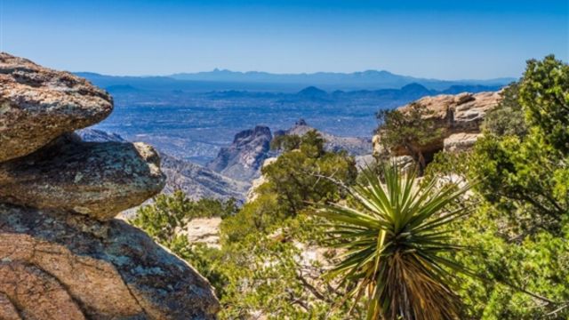 Best Places to Visit in Tucson Arizona