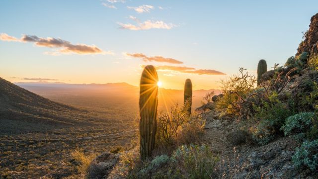 Best Places to Visit in Tucson Arizona