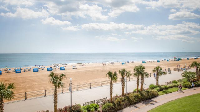 Best Places to Visit in Virginia Beach
